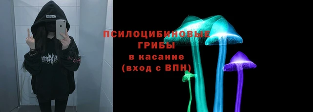 дживик Алзамай
