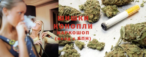 ПСИЛОЦИБИНОВЫЕ ГРИБЫ Алексеевка